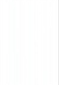 Due donne, una con i capelli ricci e una con i capelli lisci, sedute a un tavolo di legno mentre lavorano su laptop in una stanza luminosa.