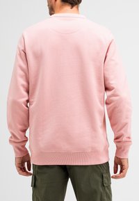 Lichtroze sweatshirt met lange mouwen, ribbelmanchetten en zoom, een soepele textuur en een ronde halslijn, gedragen over groene cargobroek.