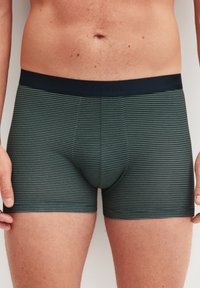 Heren boxershorts in donkergroen met contrasterende smalle strepen. De band heeft de merknaam in reliëf; zachte, elastische stof met een gladde textuur.