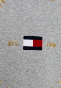 Felpa grigia con un piccolo motivo a bandiera ricamato nei colori rosso, bianco e blu. "EST." e "1985" sono anch'essi ricamati in oro.