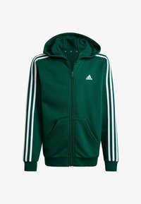 Seleccionado, collegiate green white