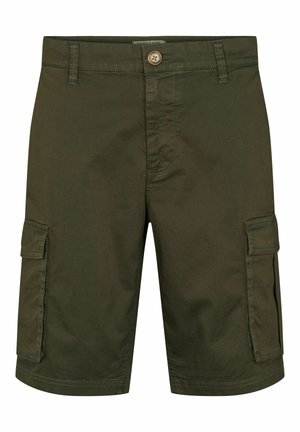 U.S. Polo Assn. LINUS - Shorts - forest night