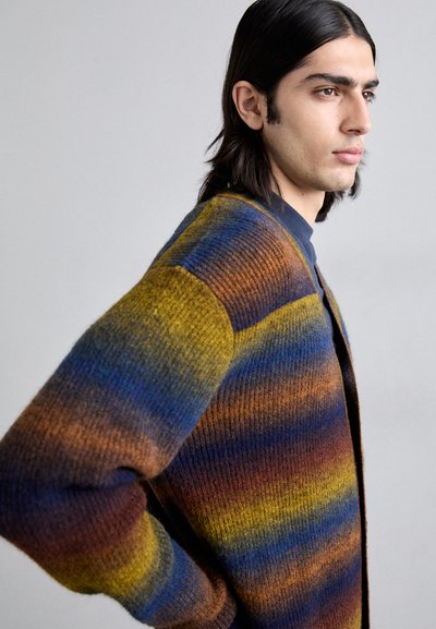 NN.07 VIGGO CARDIGAN - Chaqueta de punto - multi shades