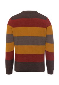 Langärmliger Strickpullover mit horizontalen Streifen in Dunkelbraun, Rot, Senfgelb und Grau, von hinten auf einem weißen Hintergrund betrachtet.