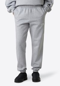The North Face W SIMPLE DOME REGULAR TAPERED JOGGER - Träningsbyxor - tnf light grey heather