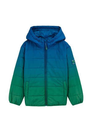 Winterjacke - sea green
