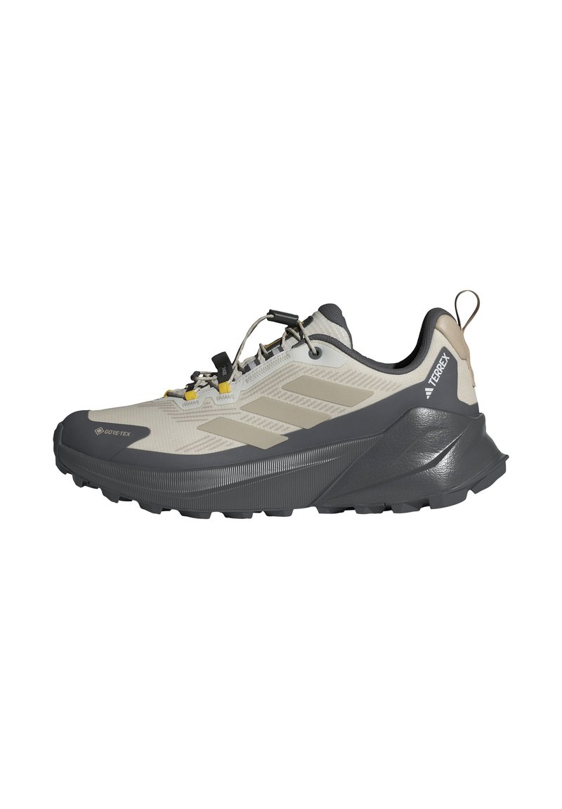 Adidas Terrex TRAILMAKER 2 GORE-TEX NATGEO - Joggesko - orbit grey beige grey five