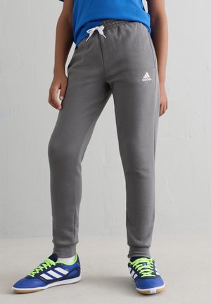 adidas Performance ENTRADA 22 - Tepláky - team grey four