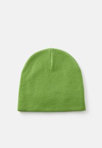 Green knit beanie with a soft texture, close-fitting shape, and a slightly pointed top, suitable for casual wear in cool weather.
