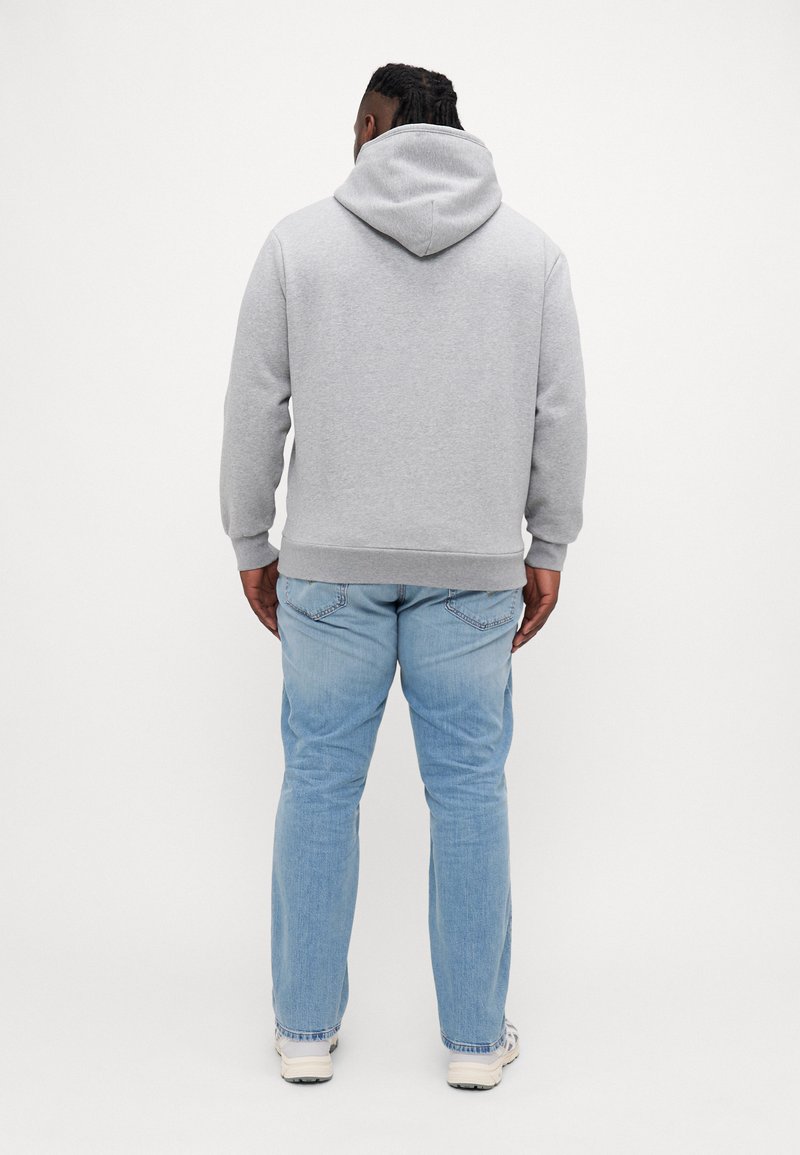 Calvin Klein SPLIT LINE LOGO HOODIE Sweatshirt light grey