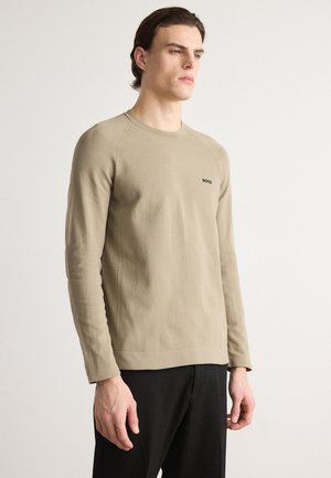 SEAMLESS - Stickad tröja - light pastel green