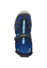 Geox Sandalias - navy  lt blue