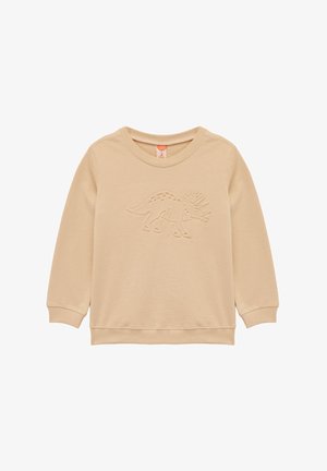 Beige sweatshirt met lange mouwen en een ronde halslijn. Voorzien van een reliëf dinosaurussontwerp op de voorkant. Zacht, textuurstof.
