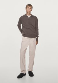 Brown knit pullover with a collar, paired with light beige trousers. Model wears black shoes. Neutral background.
