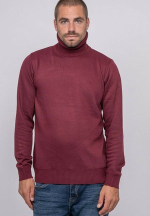 Homme aux cheveux courts et à la barbe, portant un pull à col roulé bordeaux et un jean bleu, debout devant un fond gris clair uni.