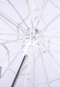 Transparante paraplu met een witte ribbenframe en een metalen zilveren steel. Opvallend ontwerp omvat een spinnenwebpatroon op de bovenkant.