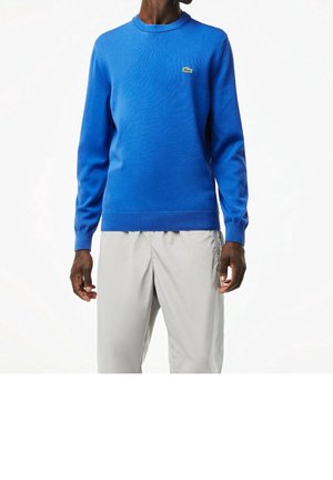 Mężczyzna w niebieskim swetrze z długim rękawem i okrągłym dekoltem z małym zielonym logo na piersi oraz w jasnoszarych spodniach, stojący na białym tle.