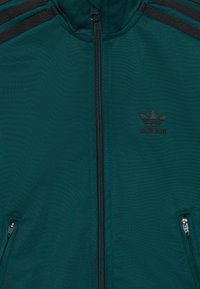 Teal zip-up jacka med svarta accenter, utrustad med två fickor med dragkedja och en liten svart logotyp. Tillverkad av ett slätt, lätt material.