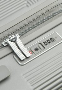 RV Roncato TROLLEY MEDIO - Trolley - grigio perla