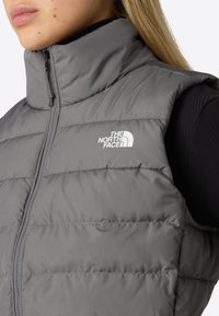 Nainen, joka on pukeutunut harmaaseen pehmustettuun North Face -hiihtovestoon, joka on kiinni mustan pitkähihaisen paidan päällä; kuva on otettu kaulasta vyötäröön.