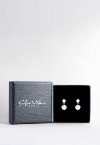 Silverörhängen visas i en svart sammetlåda, med två hängen med runda, klara stenar och enkla metallkrokar.