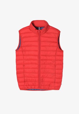 Punane tikitud puffer-vest kõrge kraega ja esifliisiga. Sisekülg on sinine ja see on kaitsevarustuse vorm, millel pole käiseid. Kerge nailonmaterjal.