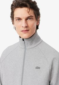 Felpa grigia con zip, colletto alto e maniche raglan. Presenta un piccolo logo ricamato sul petto e un tessuto morbido e strutturato.