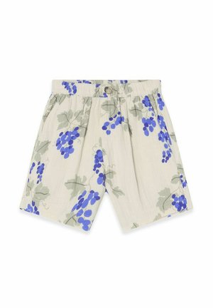 Chino - grapes blue
