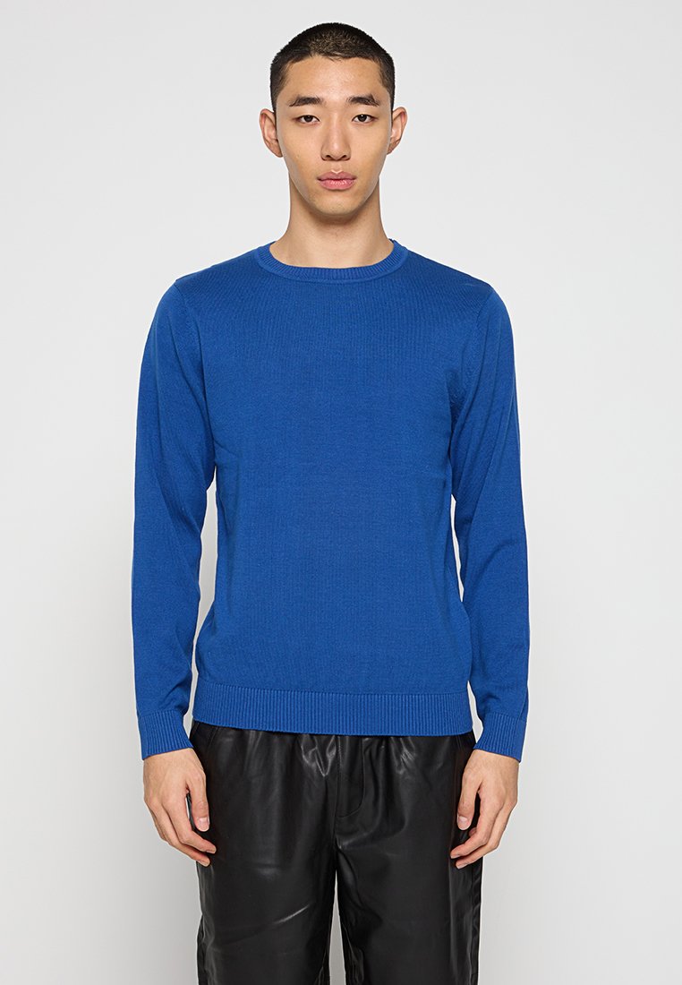 Selected Homme Trui blauw Selected Homme Trui blauw