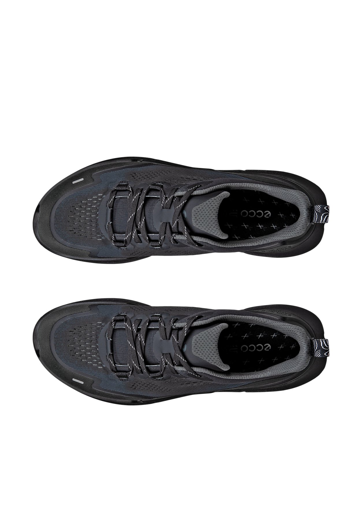 BIOM 2.2