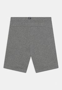 Puma UNISEX - Pantalón corto de deporte - medium gray heather