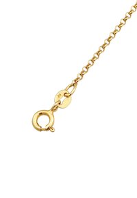 Goldene Kette mit einem runden Verschluss, bestehend aus feinen Gliedern und einem kleinen Anhänger. Glatte Textur, glänzende Oberfläche und funktionelle Hardware-Details.