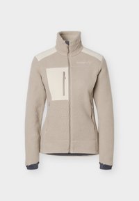 Επιλέχθηκε, winter twig