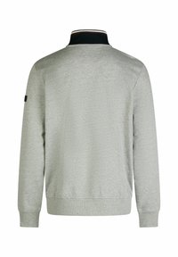 Lichtgrijze sweatshirt met een zwarte kraag en een dunne gestreepte accent. Zachte textuur, lange mouwen, ribgebreide manchetten en zoom.
