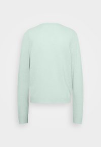 Pull vert menthe clair à manches longues, col rond et texture douce. Présente un ourlet et des poignets côtelés, une coupe décontractée, sans motifs.