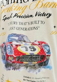 Voiture de course vintage rouge avec le numéro 79, accompagnée d'un texte sur la vitesse, la précision, la victoire et le luxe durable sur un fond clair.