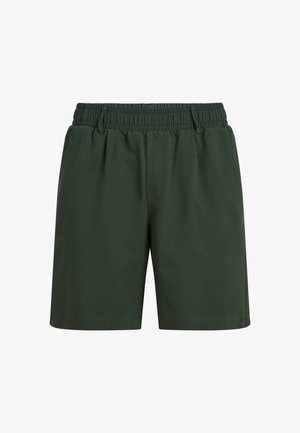 Ciemnozielone szorty z elastycznym pasem, z przodu plisowane, z bocznymi kieszeniami. Wykonane z gładkiej tkaniny, charakteryzujące się dopasowanym krojem i wykończeniem.