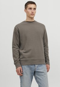 Jack & Jones JJESTAR CREW NECK - Collegepaita - bungee cord