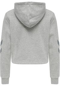 Sweat à capuche gris coupé, fabriqué en tissu doux, avec une capuche, des manches longues et trois rayures diagonales gris foncé sur chaque bras.