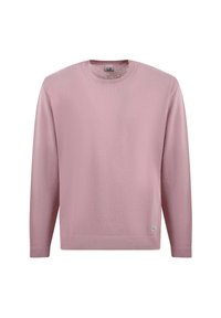 Maglione lungo rosa chiaro con maniche lunghe realizzato in tessuto morbido, con scollo a girocollo e un piccolo logo cucito sull'orlo. Nessun motivo o dettaglio.