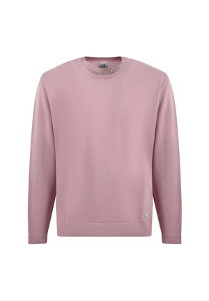 Maglione lungo rosa chiaro con maniche lunghe realizzato in tessuto morbido, con scollo a girocollo e un piccolo logo cucito sull'orlo. Nessun motivo o dettaglio.
