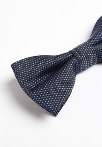 WE Fashion FUNDAMENTALS - Csokornyakkendő - navy blue