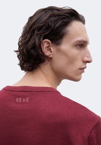 Jeune homme aux cheveux bruns bouclés portant un pull rouge, face à droite, montrant le profil latéral et le dos avec "SEVE" brodé sur le col.