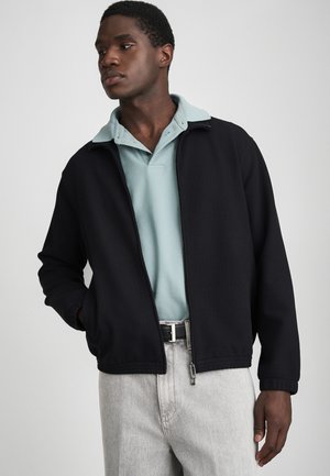 Lukuga pusa - blue fancy