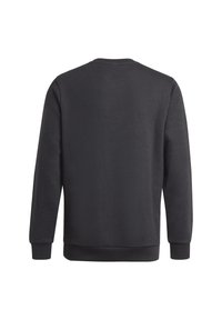 Sudadera negra con cuello redondo, mangas largas y puños acanalados. Textura suave y diseño minimalista sin logotipos ni patrones visibles.