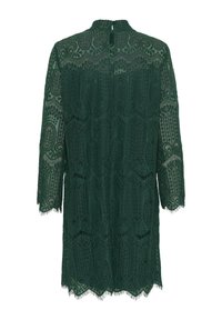 Zelené krajkové šaty s dlouhými rukávy, vysokým límcem a vroubkovaným lemem. Obsahují složité vzory a částečně odhalený zadní díl. Texturovaný povrch.