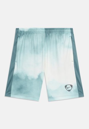 Hellblaue und weiße Gradient-Sportshorts mit dunkelgrünen seitlichen Einsätzen und einem kleinen Nike-Logo am unteren rechten Bein.