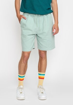 Shorts - lightblue