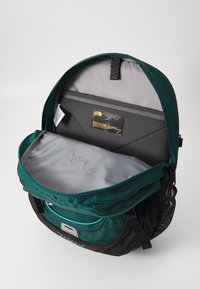 The North Face BOREALIS CLASSIC - Ruksak - deep nori/galactic blue