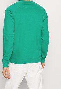 Sudadera verde con mangas raglán, puños y dobladillo de canalé, hecha de una tela suave. Llevada sobre pantalones blancos, mostrando un diseño de textura suave.
